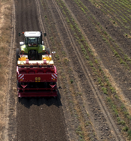 dirt-1 | Greenline Services Corp - Fredericksburg, Virginia